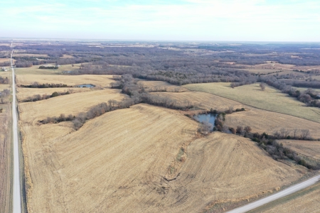 For Sale 88 Acre m/l Row Crop/Hunting Farm - image 2