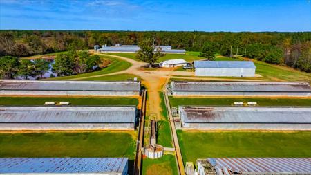 Hog Farm - image 10