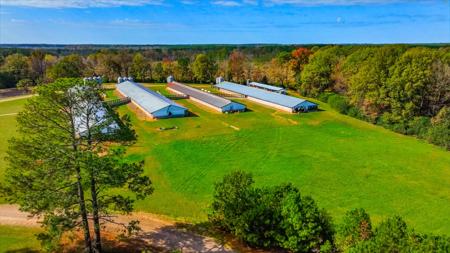 Hog Farm - image 14