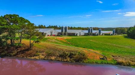 Hog Farm - image 12