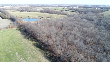 Northern MO Hunting with Income - image 12