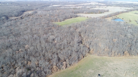 Northern MO Hunting with Income - image 7