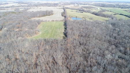 Northern MO Hunting with Income - image 10