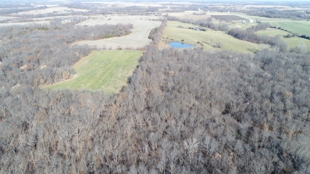 Northern MO Hunting with Income - image 9