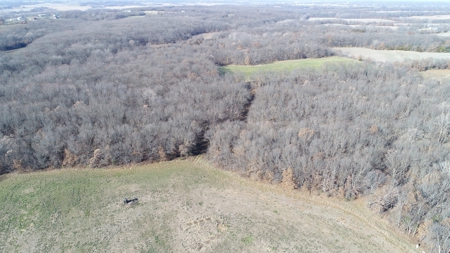Northern MO Hunting with Income - image 6