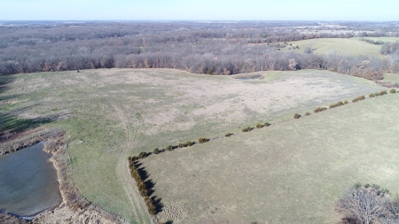 Northern MO Hunting with Income - image 5