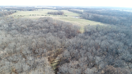 Northern MO Hunting with Income - image 13