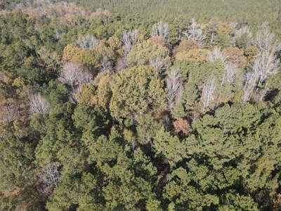 Jefferson County Hunting Land - image 15