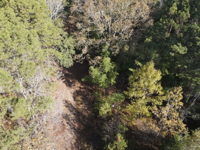 Jefferson County Hunting Land - image 21