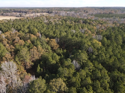 Jefferson County Hunting Land - image 17