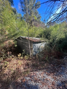Jefferson County Hunting Land - image 6