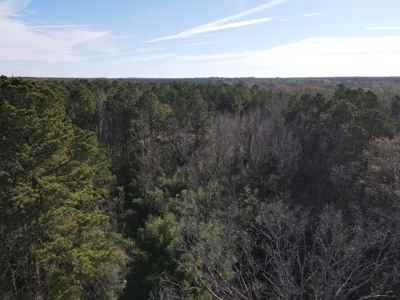 Jefferson County Hunting Land - image 27