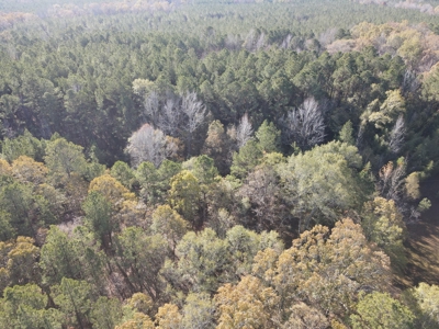 Jefferson County Hunting Land - image 14