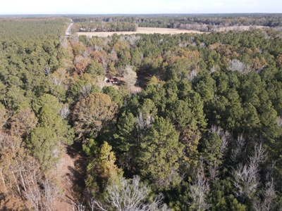Jefferson County Hunting Land - image 25