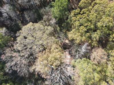 Jefferson County Hunting Land - image 24