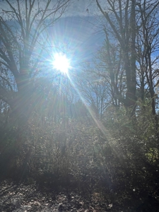 Jefferson County Hunting Land - image 10