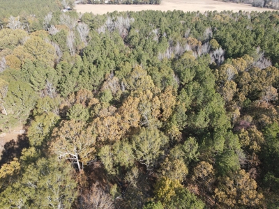 Jefferson County Hunting Land - image 19
