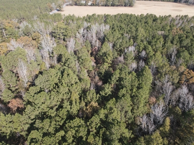 Jefferson County Hunting Land - image 20
