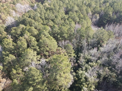 Jefferson County Hunting Land - image 22