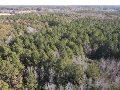 Jefferson County Hunting Land - image 16
