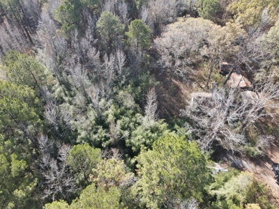 Jefferson County Hunting Land - image 12