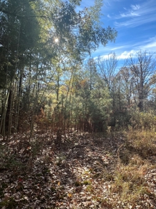 Jefferson County Hunting Land - image 9