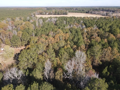 Jefferson County Hunting Land - image 18