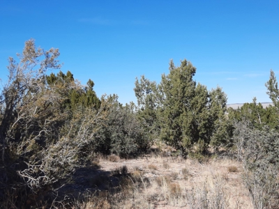 Great Views - image 6