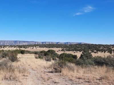 Great Views - image 8