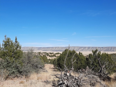 Great Views - image 5