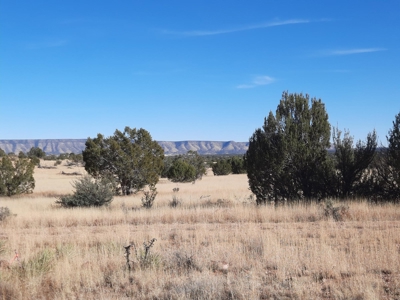 Gorgeous Views - image 1