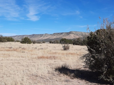 Gorgeous Views - image 6
