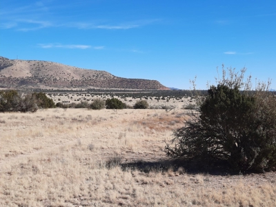 Gorgeous Views - image 1