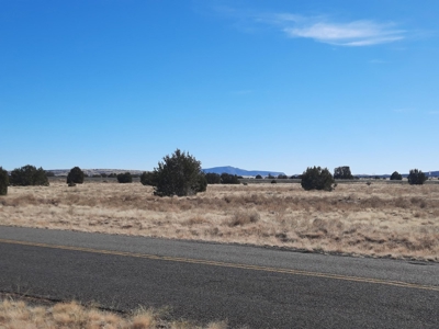 Beautiful Property - image 6