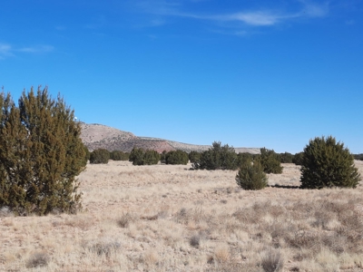 Beautiful Property - image 1
