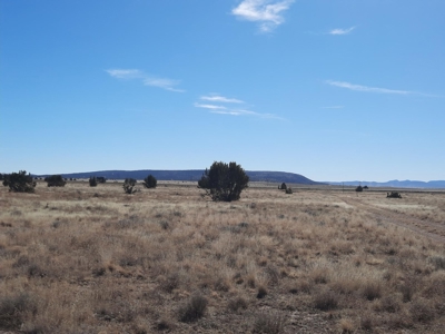 Gorgeous Views - image 5