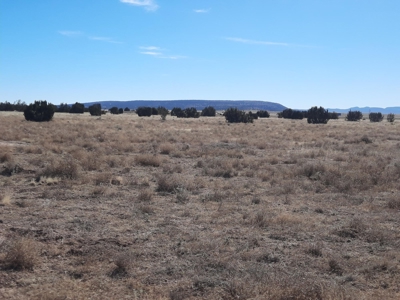Great Views - image 6