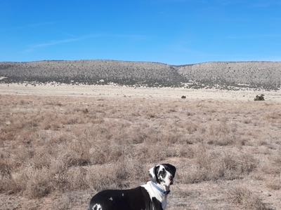 Great Views - image 3