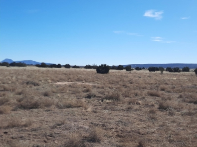 Great Views - image 2