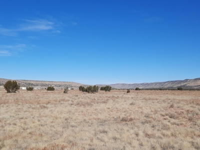Beautiful Property - image 2