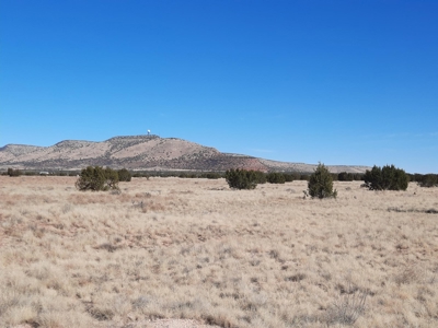 Beautiful Property - image 1