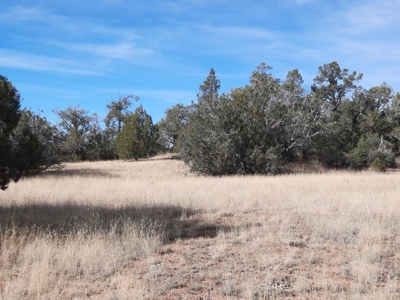 Very Secluded - image 4