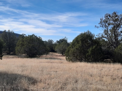 Very Secluded - image 8