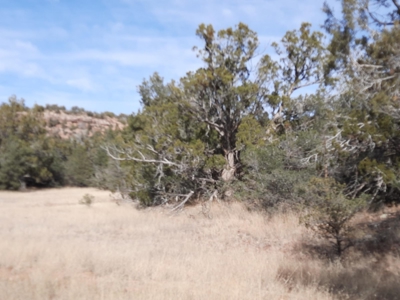 Very Secluded - image 7