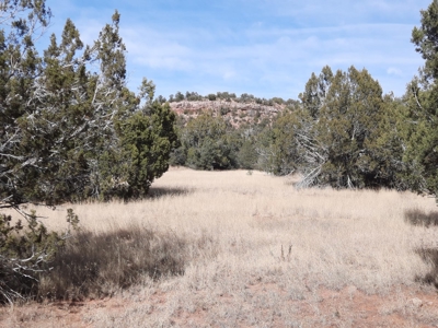 Very Secluded - image 1