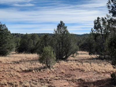 Very Secluded - image 11