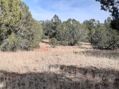 Very Secluded - image 3