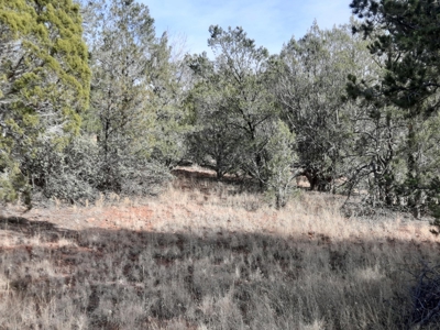 Very Secluded - image 5