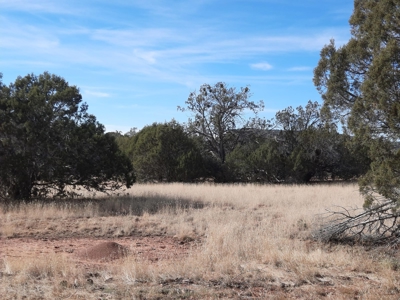 Very Secluded - image 10