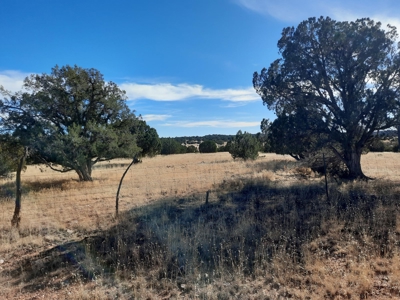 Beautiful Property - image 2